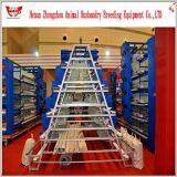 Hot Selling Good Quality Automatic Chicken Egg Layer Cage thumbnail-5