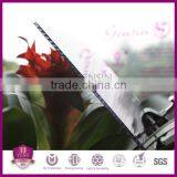 Grade A 4mm Polycarbonate 2-wall Sheet/ pc Greenhouse Sheet/roofing Sheet thumbnail-6