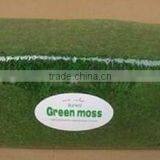 SJ1401101 Guangzhou Shengjie Wholesale Decorative Artificial Moss Product thumbnail-6