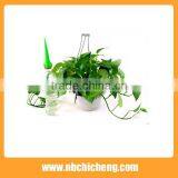 6pcs/set Water Spike Garden Plant Watering Spikes thumbnail-3