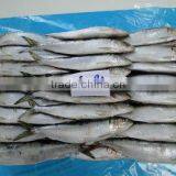Smoked Sardine thumbnail-1