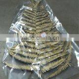 Silver Fern Preserved thumbnail-1
