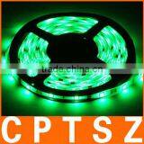 Epoxy Waterproof Green Decoration LED 3528 SMD Rope Light, 120 LED/M, Length: 5M