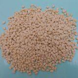 Gum Base thumbnail-4