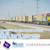 Shanghai to Pozim 255503 Izhevsk Container Freight of Dangerous Cargo Sea Rail Freight thumbnail-2