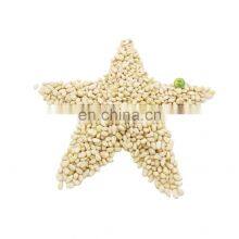 Byloo Group Low Moq 250 500 Gram Bag Packing Premium Quality Pine Nuts for Online Shop Trade Amazon thumbnail-4