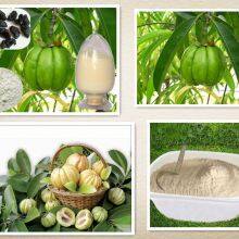 Garcinia Cambogia Extract thumbnail-5