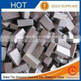 DIAMOND SEGMENTS FOR GRANITE for 350mm -3500mm, GRINDING SEGMENTS Diamond Segments Sandstone Segements thumbnail-5