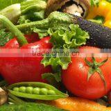 High Quality Refrigerator Container for Sale 40ft Reefer Container Price