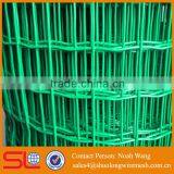 (Factory Diret) High Quality Used for Fence Green Pvc Coated Holland Wire Mesh
