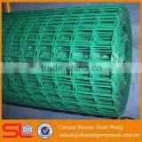 High Quality Green PVC Coated Holland Wire Mesh
