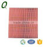 High Quality Air Filter Elements for Auto Car OEM No. DS73-9601-AC