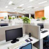 Zhengzhou Thrive Trade Co., Ltd. company overview - view 1 thumbnail