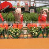 Norwayho Elastic Twine for Flower Binding thumbnail-2