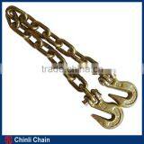 NACM Standard Chains With Clevis Grab Hook ,Ratched Type load binder G43 Lashing chain