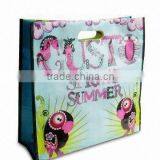2013 Promtional PP Woven Bag With Diecut Handle thumbnail-1