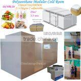 Polyurethane Modular Cold Storage Room to Store Foods 3.5ton