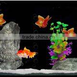 Aquarium Rocks and Plants.