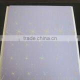 25CM*6MM Pvc Ceiling Wall Panel thumbnail-3