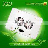 Greenhouse Lighting Lamps Led High Power 300w Cob Chip Light Leds Made in China Grow Led Lamps thumbnail-2