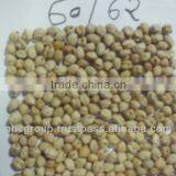 Chick Peas thumbnail-4