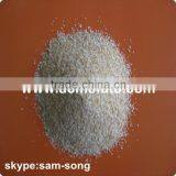 Top Quality Dehydrated Garlic Granules Available