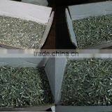 Dried Anchovy Fish thumbnail-2