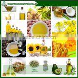 2016 Good Price Automatic Peanut Soybean Sunflower Small Cold Press Oil Machine thumbnail-5