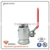 di Ball Type Check Valve thumbnail-1