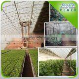 Greenhouse Woven Film thumbnail-1