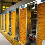 Best Sell Used Chicken Cages for Poultry Farm thumbnail-1