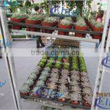 380 Seedling Dish Tool Car thumbnail-6