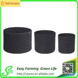 Irrigation Air Root Container Agriculture thumbnail-1
