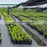 Virgin Polypropylene uv Agriculture Ground Cover thumbnail-4
