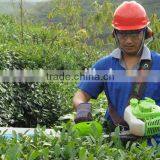 25CC/ 36CC/52CC/double Edged Hedge Trimmer, 22.5cc, 1 HP /CE/GS thumbnail-4
