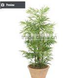 Hot Sell Decorative Artificial Indoor Plant for Living Room Decoration thumbnail-6
