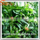 Hot Sale Artificial Green Wall New Design Artificial Geass Wall Plastic Artificial Green Wall thumbnail-6