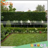 Hot Sale Plastic Outdoor Nature Green Wall Garden Decoration Plants Artificial Boxwood Hedge Artificial Hedge Fence thumbnail-2