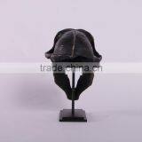 Chacma Baboon Skull on Base thumbnail-3