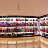 Hunan Province Bo Walker Leather Co., Ltd company overview - view 4 thumbnail