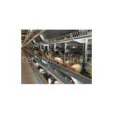 Poultry Industry in Indonesia_shandong Tobetter Sterling