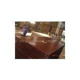 Linyi Xin Yuan Wood Co.,ltd company overview - view 1 thumbnail