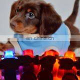 New design hotsell led dog training collar pet collar flashing led dog collar made in China