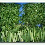 Double Head Leaf Vegetable Cutting Machine Fruit Slicing Shredder Dicing Equipment thumbnail-5