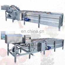 Multifunctional Small Portable Wash Leafy Vegetable And Fruit Food Clean Machine Commercial Ozone Vegetable Washer thumbnail-4