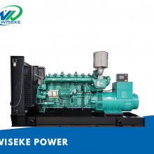 Wiseke machinery 800kva WDL800YC1 Yuchai diesel generator factory price