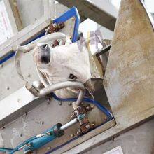 Full Set Automatic Cattle Slaughter Line For Ritual Rotary Slaughtering Box For Cow Slaughtering Equipment thumbnail-4