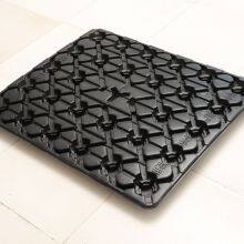 Plastic Pallets Manufacturer Blister Packaging Factory Plastic Trays Vacuum Forming thumbnail-3