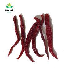 Er Jing Tiao Dry Red Chili Stemless