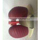 Simulation Model for Medical Research and Students Learning thumbnail-3